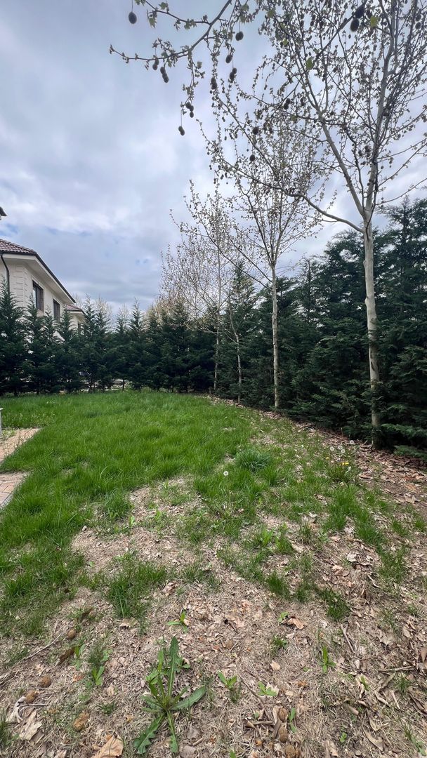 Vila individuala cu 5 camere Otopeni - Poză 5