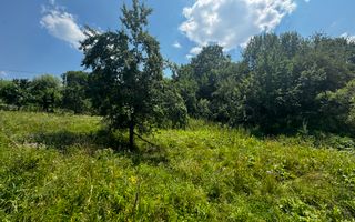 TEREN INTRAVILAN 2146 MP, ALBESTII DE MUSCEL, ARGES - Poză 9