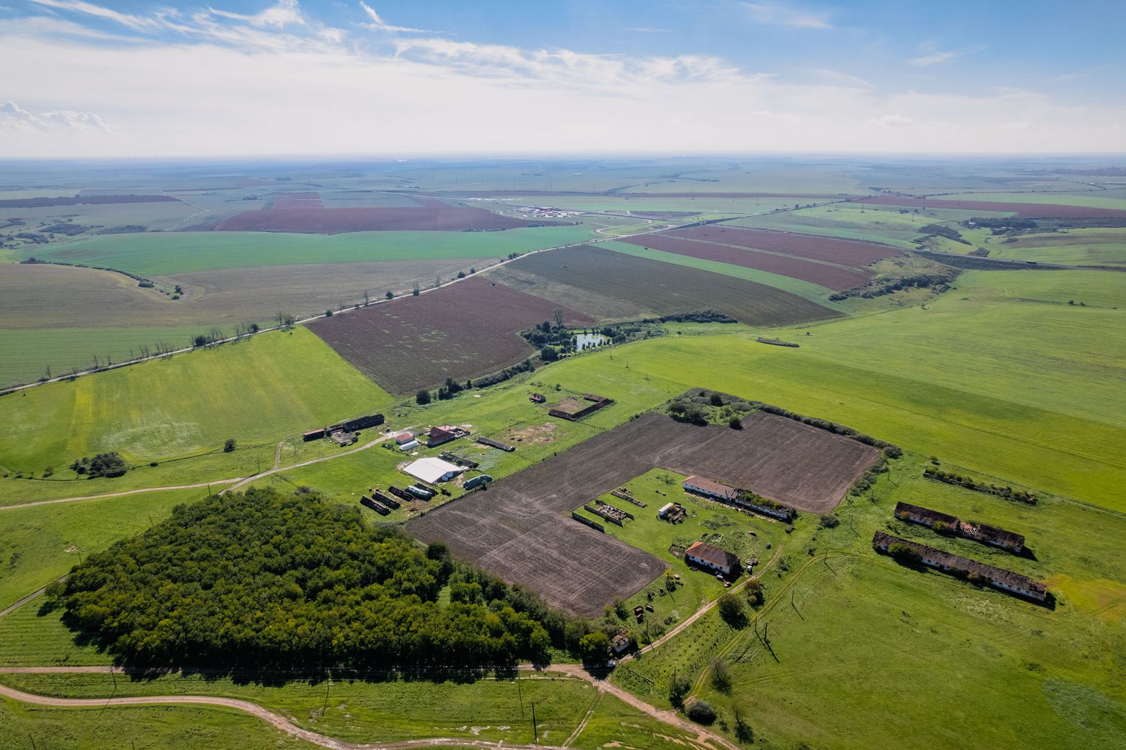 Teren de 69188 mp în Seceani - Poză 3