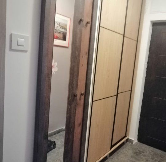 APARTAMENT 2 CAMERE MIHALACHE | CIUPERCA - Poză 7