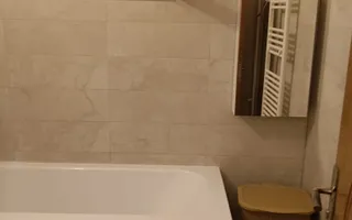 De inchiriat apartament spatios cu vedere la Dunare , etaj 5, 500 euro - Poză 11