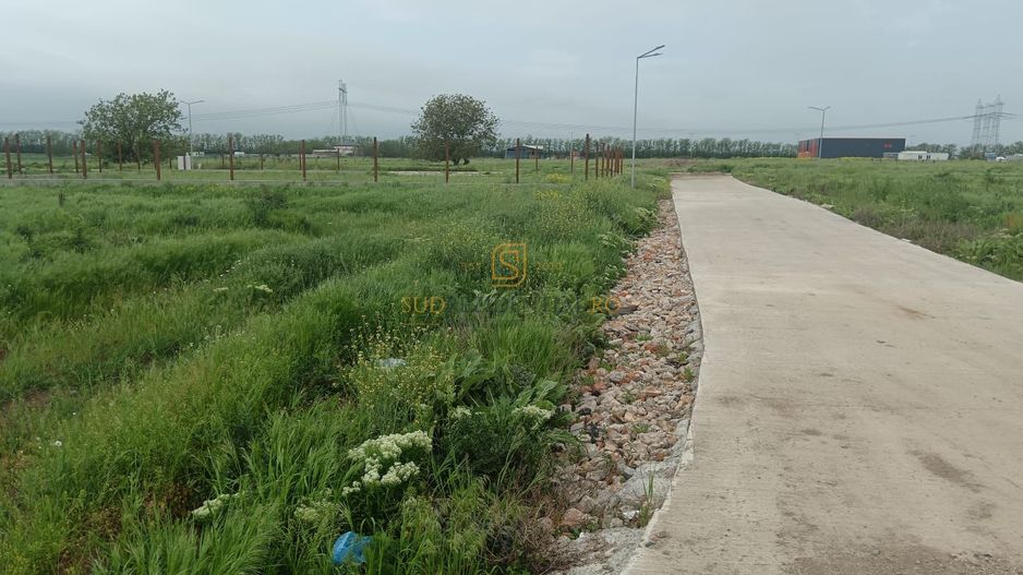 Teren de vanzare, Frumusani, Ilfov, ideal investitie, DNCB - Poză 11