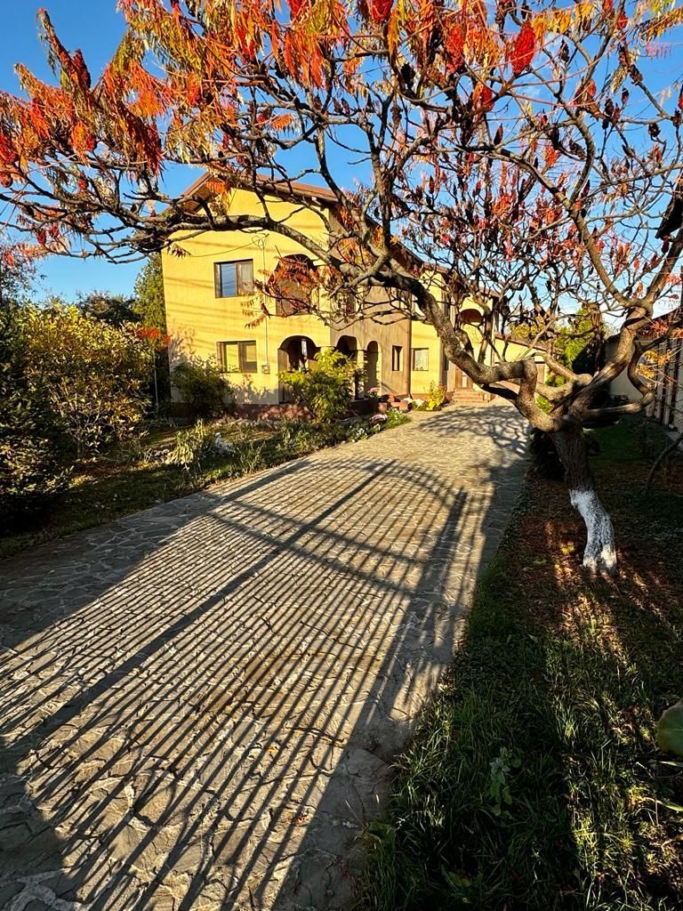 Vanzare casa ideal 2 familii padurea Romanesti - Poză 16