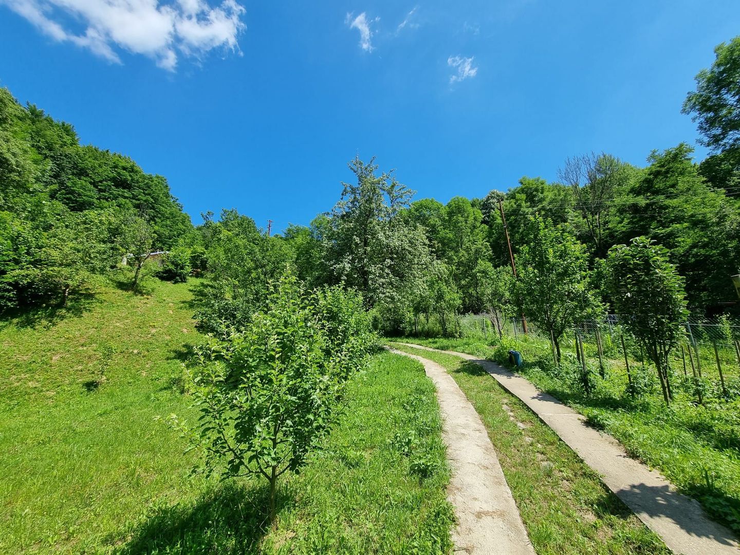 Casa de la marginea padurii! - Poză 9