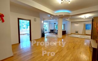 Duplex, 6 camere, Herastrau - Poză 8