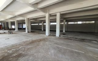 Hala Depozitare de Inchiriat Pitesti - Poză 8