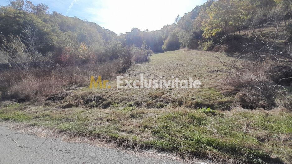 TEREN DE VANZARE IN BABANA, ARGES,  LANGA PADURE - Poză 5