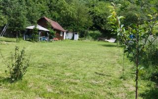 Teren 1040 mp +cabana | Goranu | - Poză 3