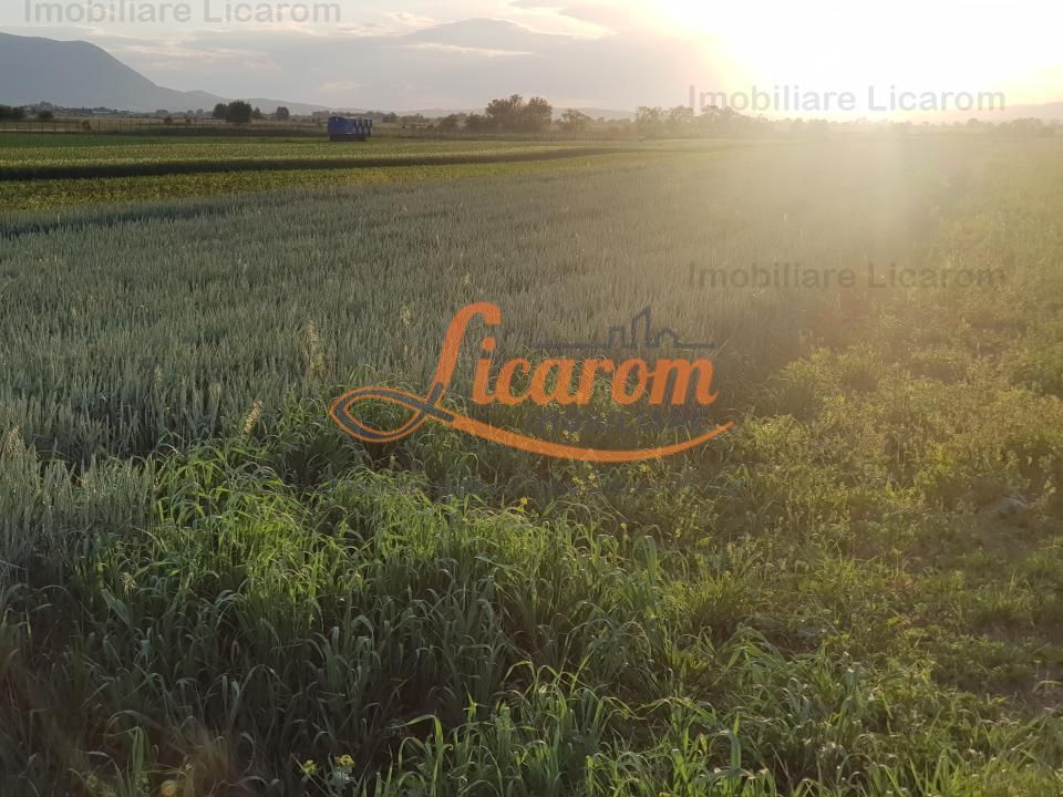 Teren Stupini Calea Feldioarei 4600 mp,21 euro/mp, front la asfalt - Poză 3