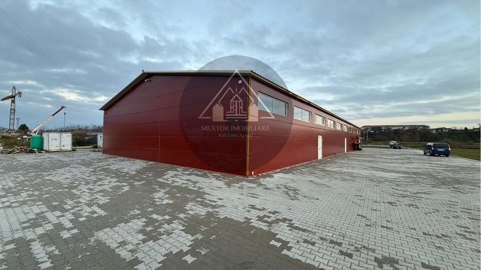 Hală de inchiriat, Medias - Poză 12