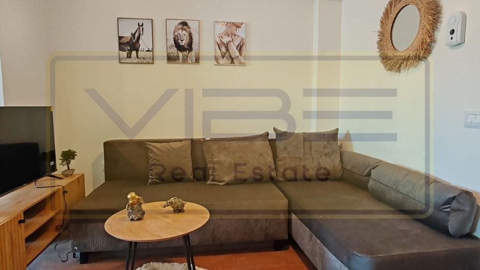 Vișan - Bloc nou-prima închiriere - 2 camere -299 euro! - Poză 10