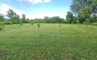 Teren intravilan în Vălenii Șomcutei, în suprafață de 1.700 mp - Poză 3