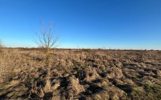 Zona Urban Village, aproape de centura | 20 euro/mp | Mosnita Veche - Poză 2