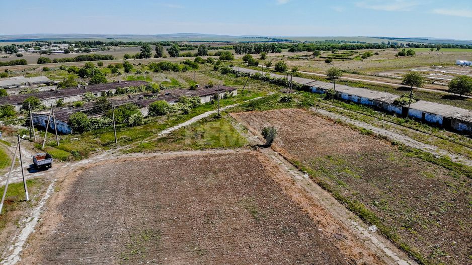 Teren de vânzare, 23,3 ha lângă Drochia – Fosta Fabrică Avicolă. - Poză 31