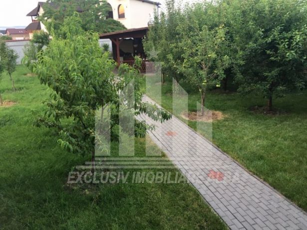 Vila spatioasa cu teren generos, Alba-Micesti - Poză 6