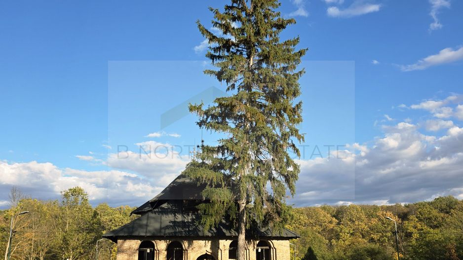 Reședință exclusivistă cu deschidere la Lacul Scroviștea - Poză 19