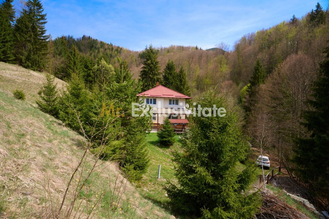 Casa de vacanta sau pensiune in Dâmbovicioara 5 camere, 5 bai, 6412 mp teren - Poză 6