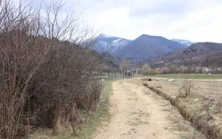 Teren Sebesul de Sus I 1100 mp I facilitati in apropiere - Poză 19