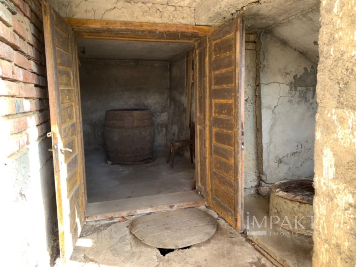 De vânzare casă + teren 30 ari - Silivașu de Câmpie, - Poză 10