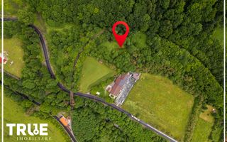 Teren intravilan 2.800 m² în Câmpu Cetății – liniște și natură - Poză 4