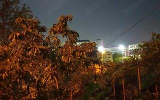 teren de vanzare 807 mp - Poză 3