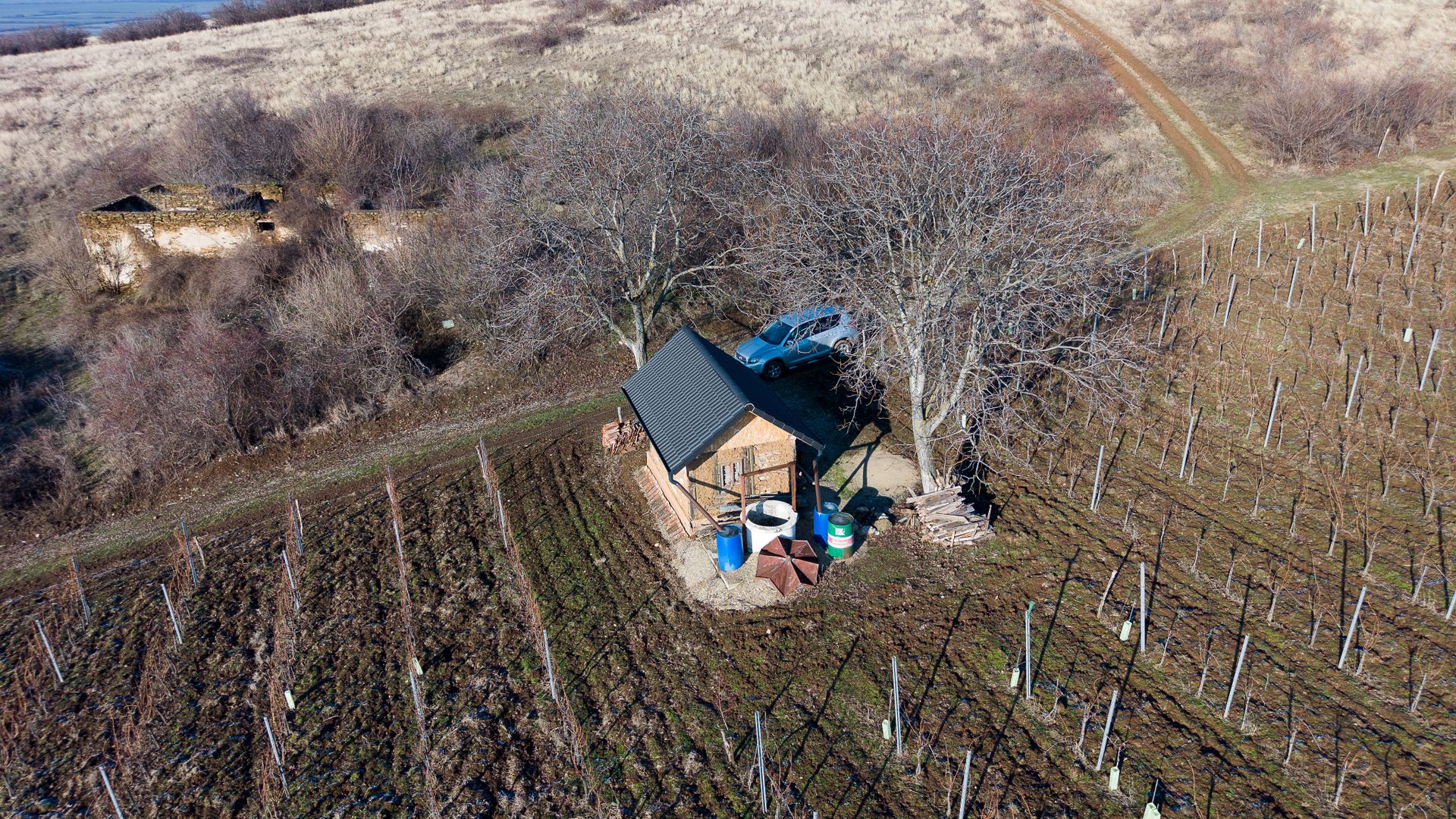 Vita-de-vie Premium  teren de 6800 mp în Covăsinț - Poză 14