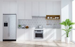 Casă / Vilă în zona Europa - Poză 4