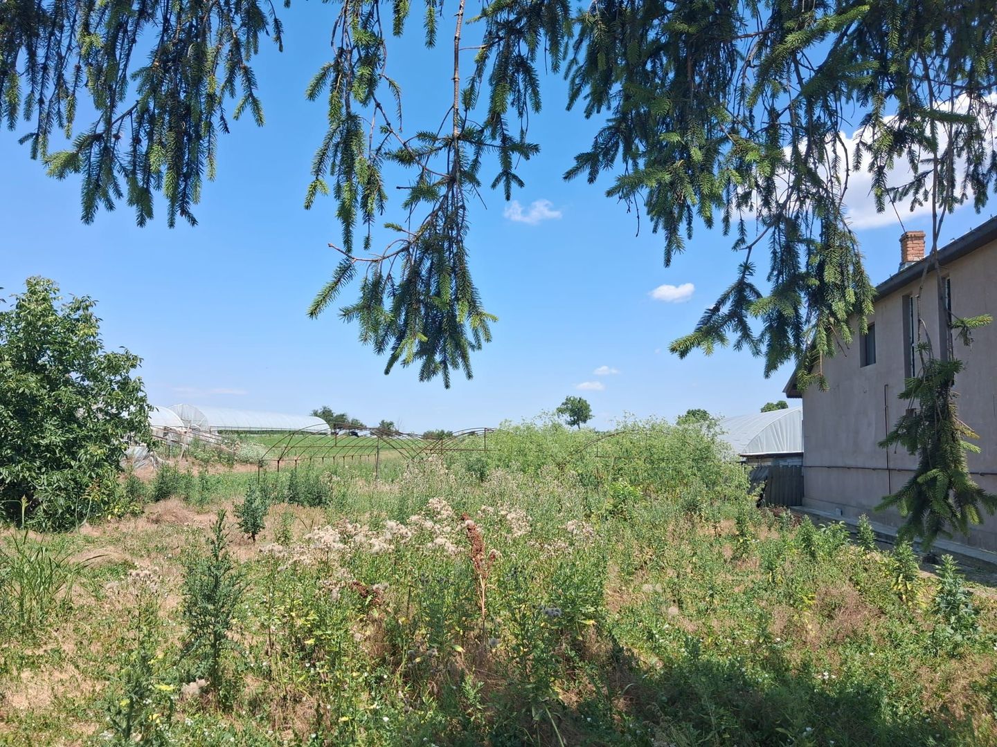 Vânzare teren Ilfov -Vidra | 3524 mp - Poză 2