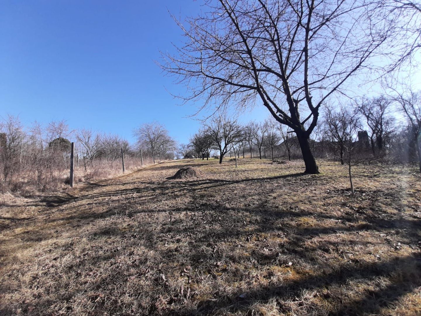Teren de vanzare in Turda - Poză 2