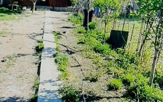 Casă individuală 3 camere | 105 mp utili | Teren 700 mp | Ronaț - Poză 4
