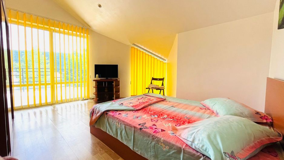 VILA DE LUX ESELNITA CLISURA DUNARII - Poză 8