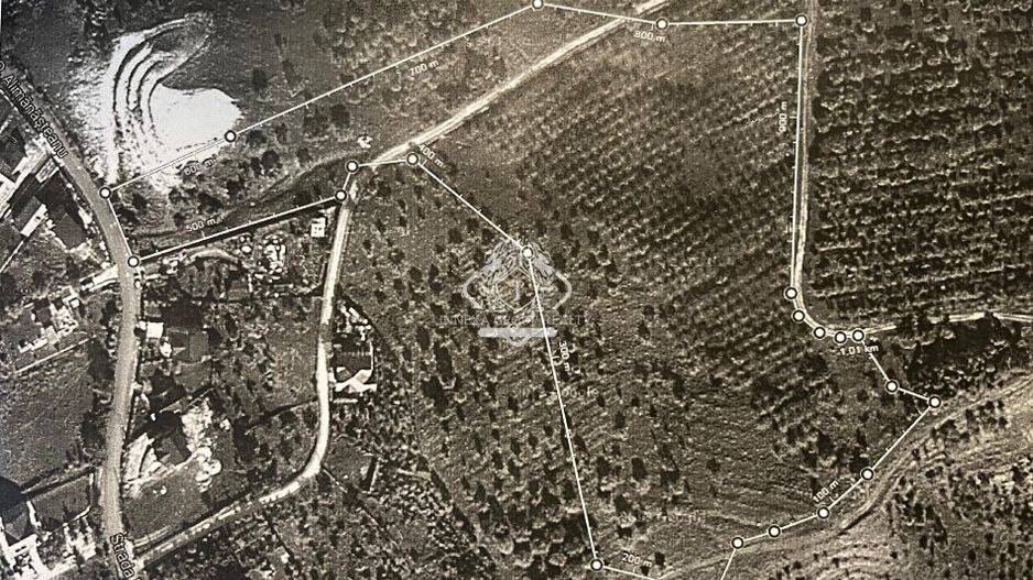 Teren de Vânzare – 34.485 mp | Câmpulung Muscel | Zonă Panoramică & Dezvoltare - Poză 2