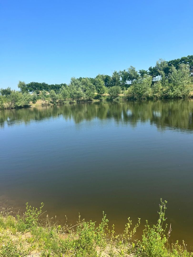 Iaz Piscicol Bacau Saucesti - Poză 3