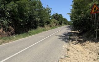 Teren Aroneanu 7200 sau 14.400 mp - toate utilitatile - la asfalt - Poză 2