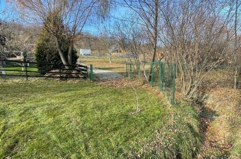 Teren 3349 mp de Vânzare | Bran – Panoramă Munții Bucegi - Poză 9