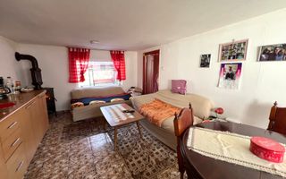 Casa de vanzare pretabila 2 familii, garaj, livada, comuna Pianu - Poză 23