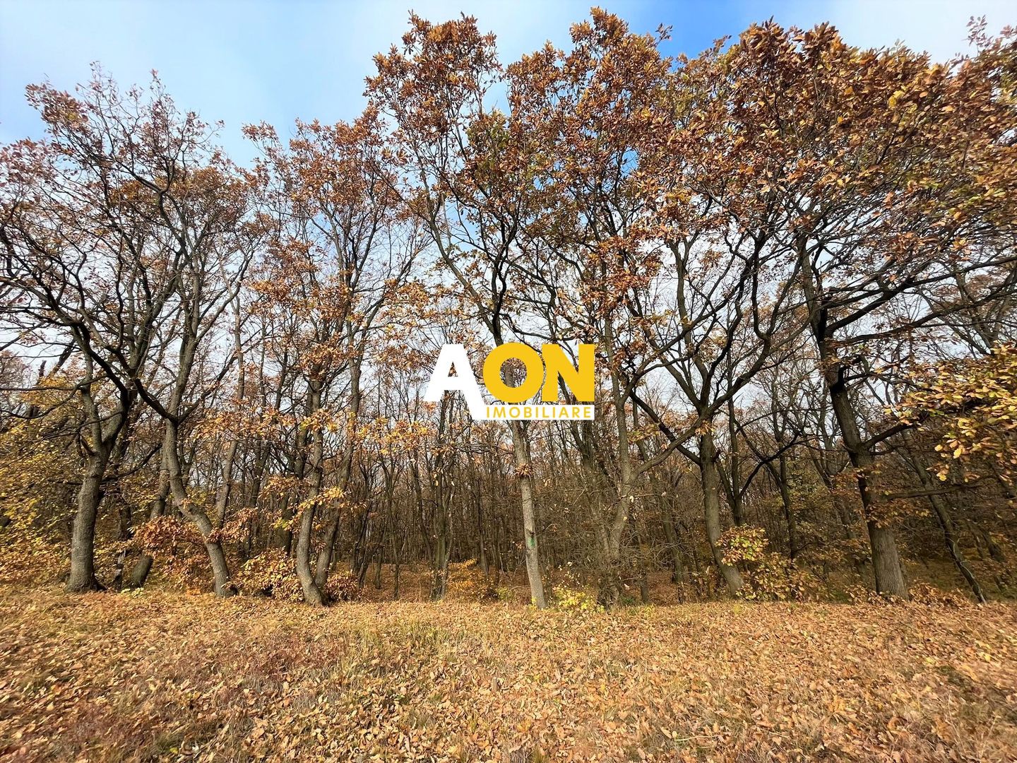 Teren de vanzare,  zona exclusivista,  2400MP - Poză 3