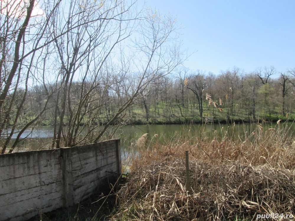 Vand Vila si teren cu deschidere la lac (5128mp) - Poză 9