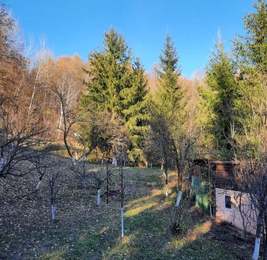 Casa 4 camere, teren 1960m2, CT, Provita, Prahova - Poză 18