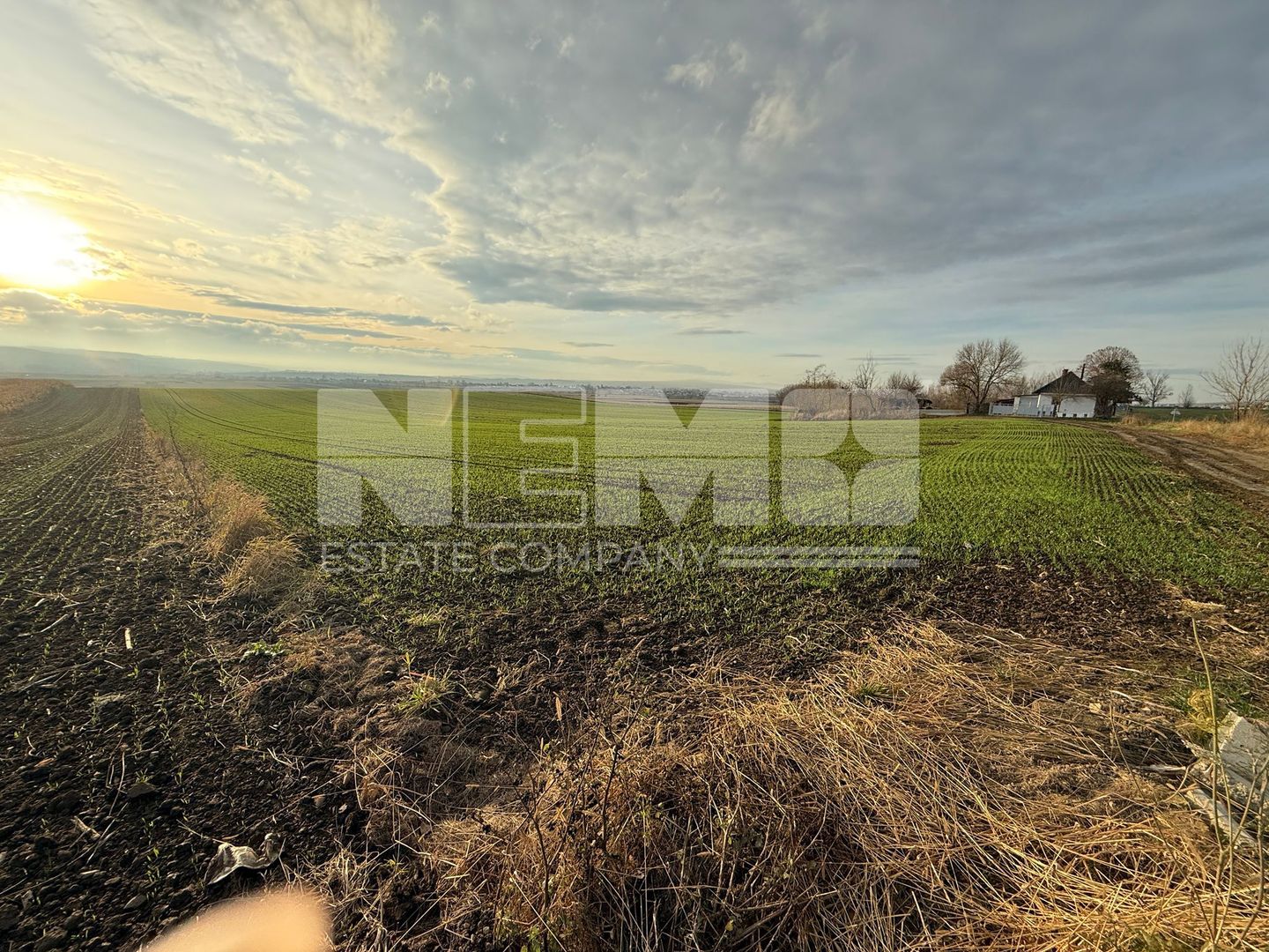 TEREN EXTRAVILAN | E85 | 126.000EURO NEGOCIABIL | - Poză 6