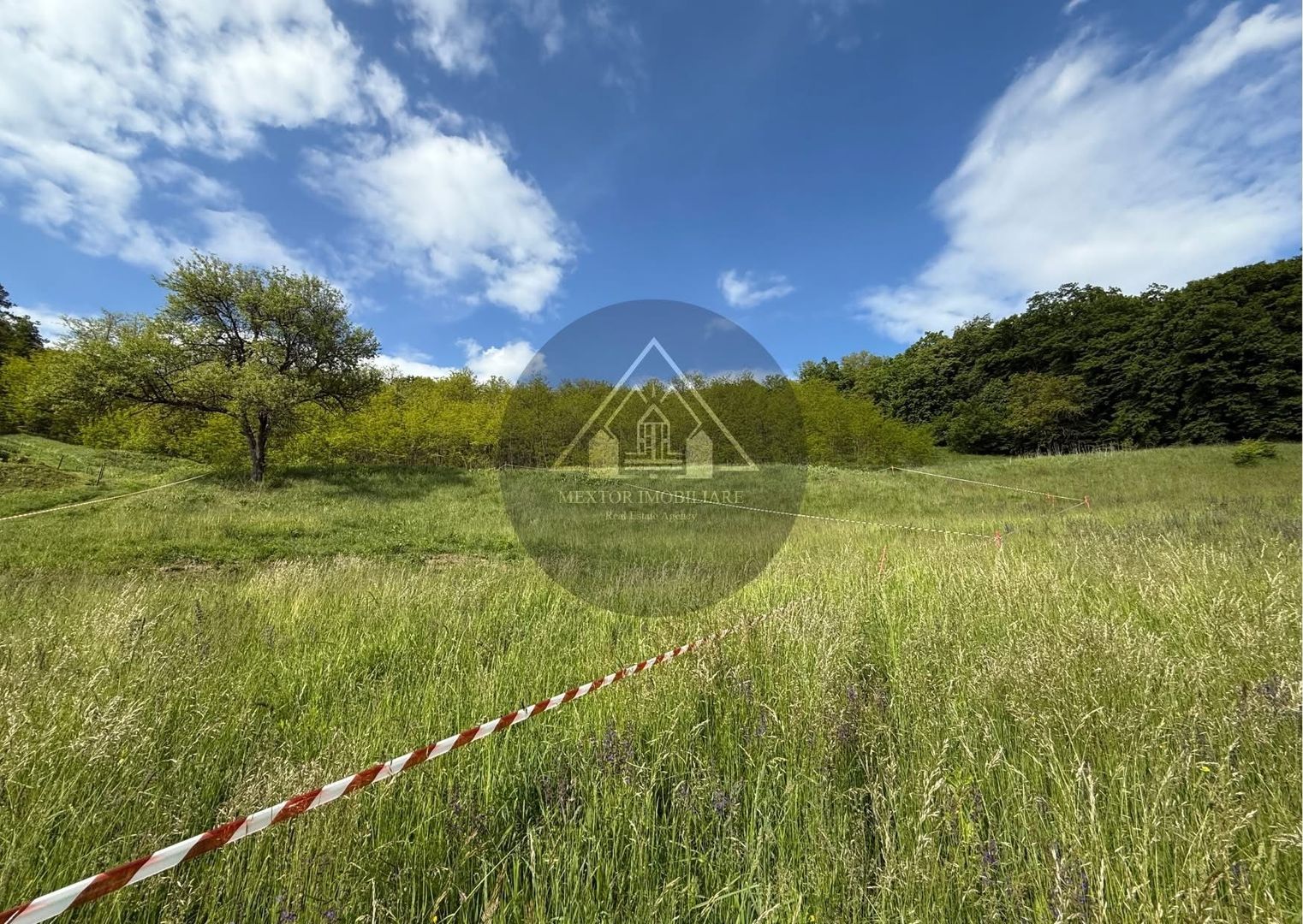 Teren de casa cu PUZ, Mosnei - Poză 7