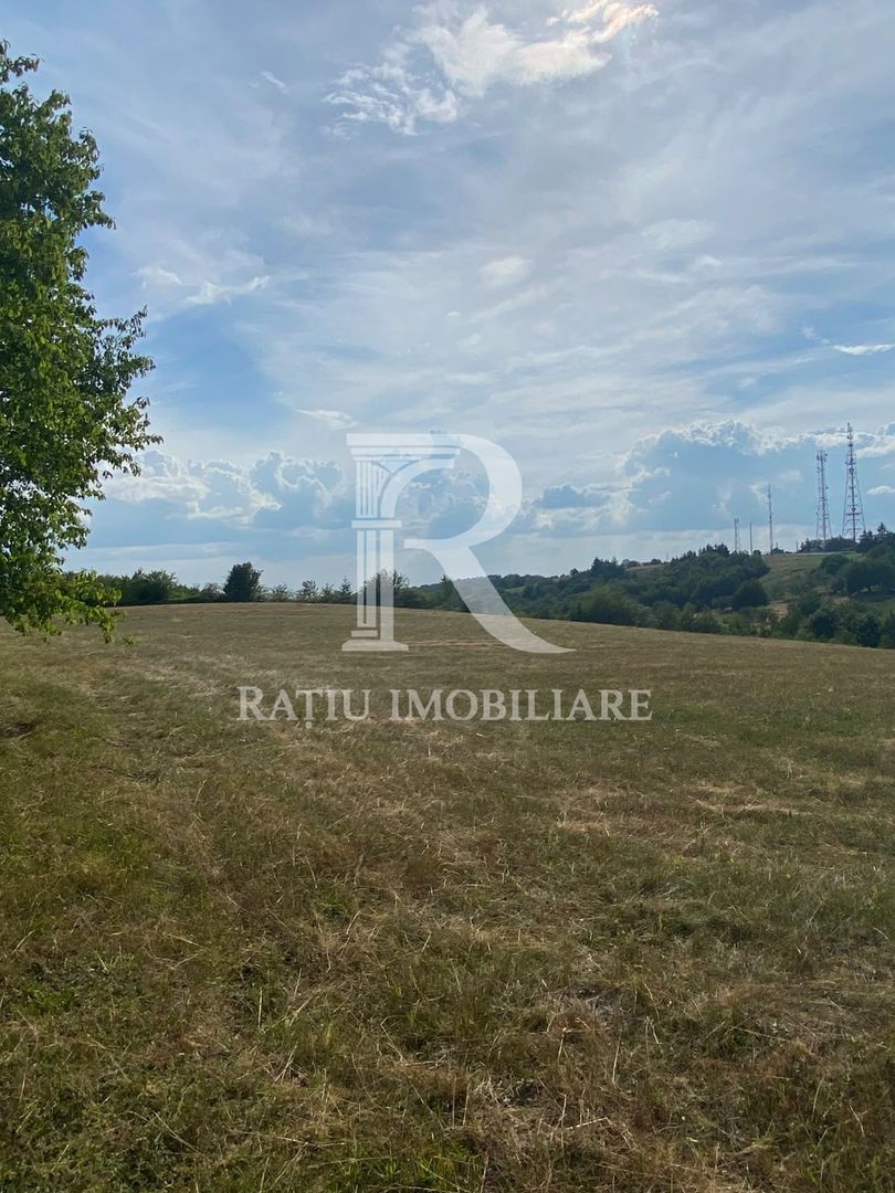 Teren Intravilan | 17.500 mp | Șinteu | Bihor - Poză 1