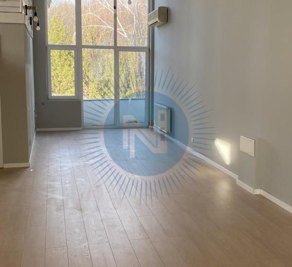 Vila Iancu Nicolae - Poză 5