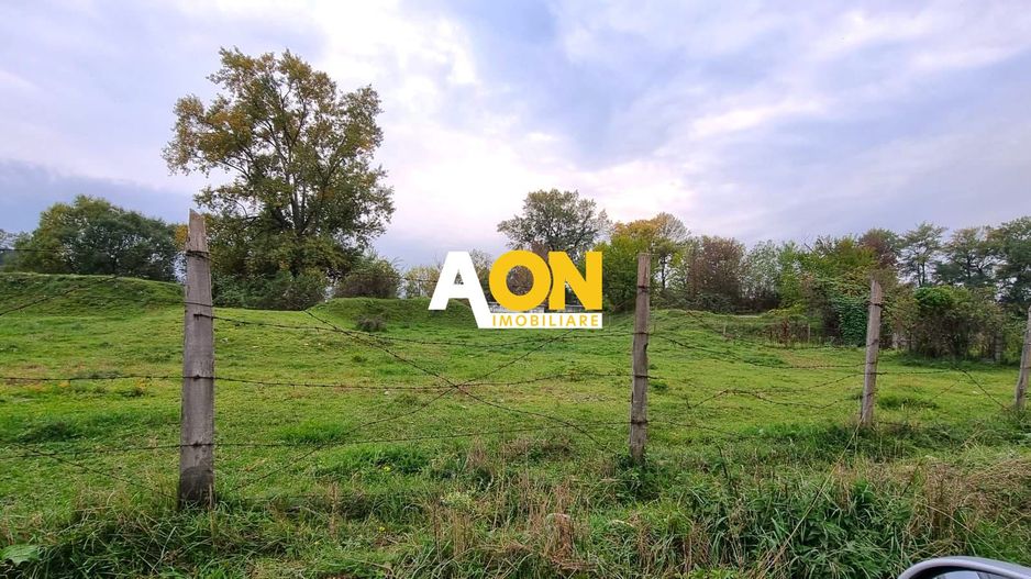 Oportunitate de investitie, posibilitate parcelare, 12.000 MP, Sebes - Poză 1