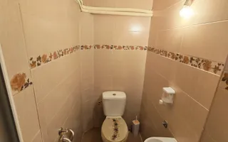 Casă cu destinație multiplă _ curte generoasă- Bălcescu - Poză 14
