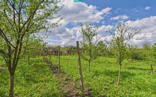 Casă individuală la Beregsău Mare, 2890 mp teren - Poză 29