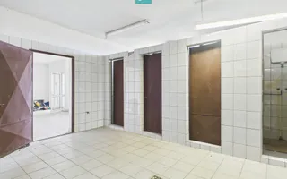 Hale 1800 mp fiecare – acces autostradă, Teiu, HD - Poză 12