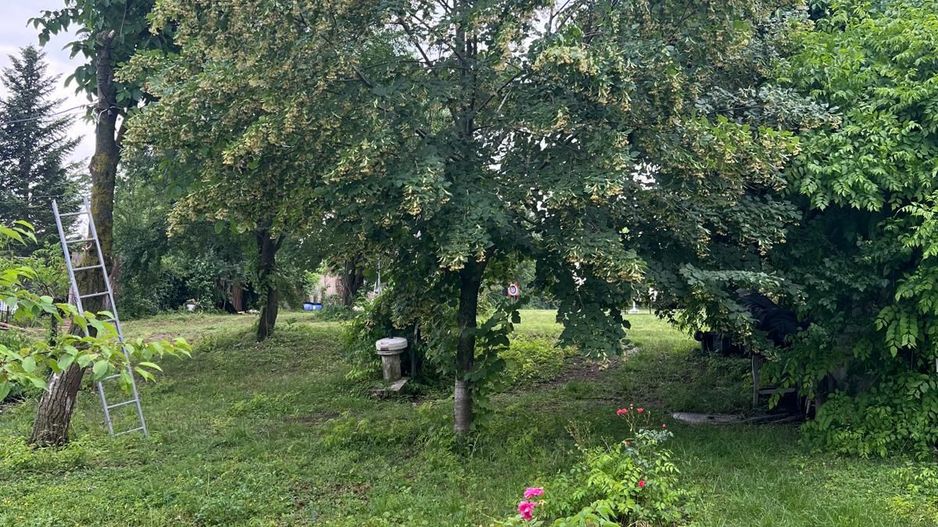 Teren cu deschidere la lac I Snagov - Poză 19