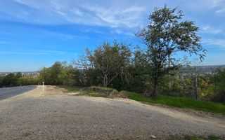 De vânzare teren 6 ari, orasul Hincesti - Poză 2