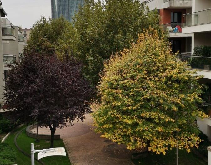 Dorobanti | Washington Residence | 5 camere | 2 locuri de parcare - Poză 15